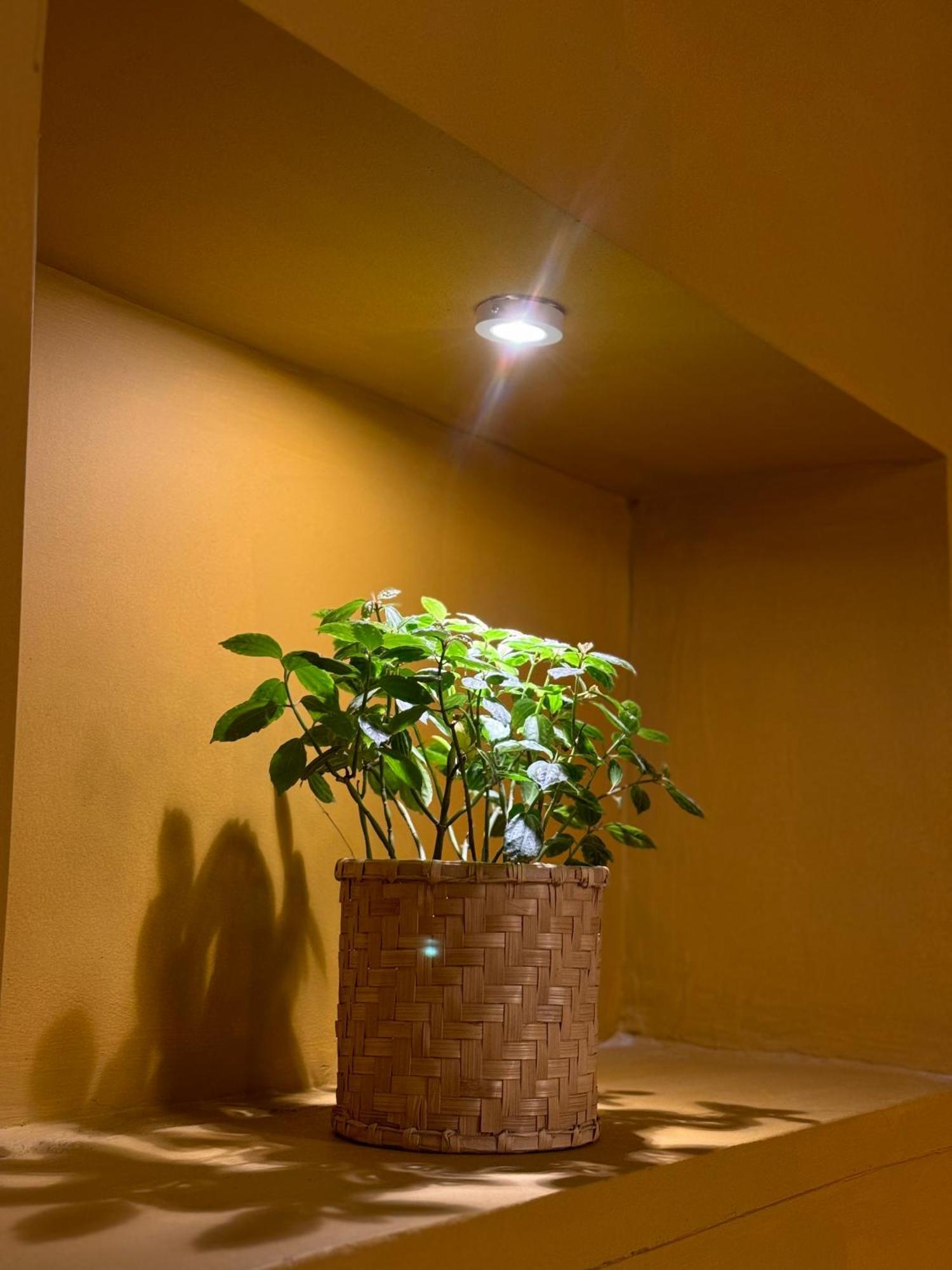 The Melo Pomelo Courtyard. Apartment Kathmandu Exterior foto